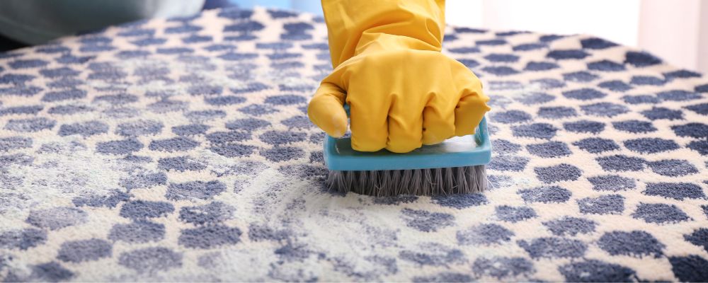 How to Remove Wet Carpet Smell